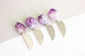 Cheese Knife with Crystal Handle Amethyst Point Rough
