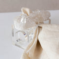 Napkin Ring in Acrylic with Crystal Accent - Clear Quartz Druzy