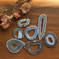 Agate Geode Slice - Druzy Center